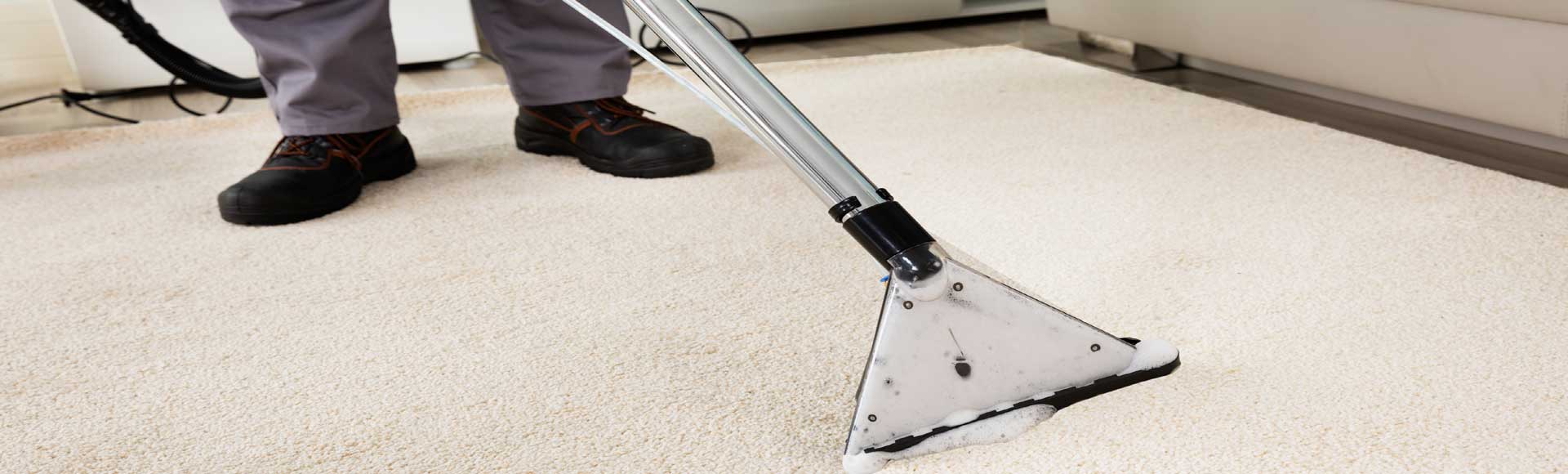 Carpet Cleaning Homes 2 Services